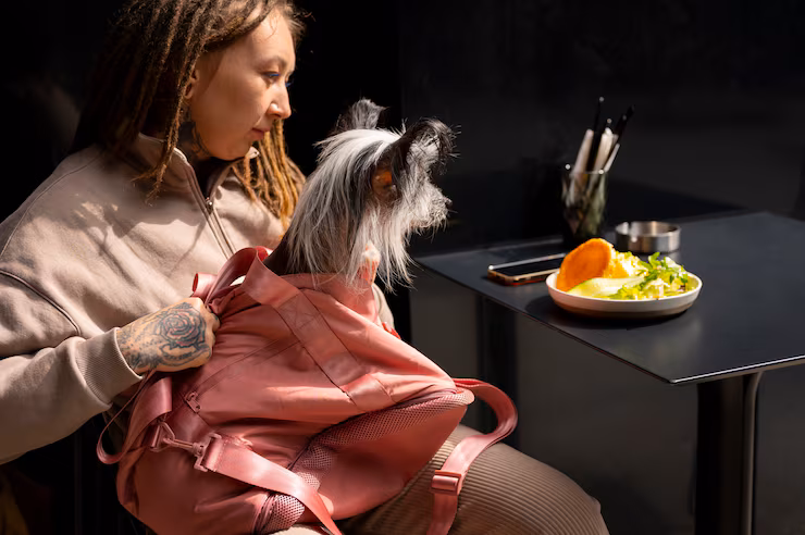 A New Experience in Motion - Where Style, Comfort, and Care Meet for Your Beloved Pets Celebrate the bond between you and your pet with accessories that blend craftsmanship and comfort. From designer collars and couture bedding to custom travel gear, every piece is created to reflect sophistication and love. Our curated collection transforms everyday pet essentials into timeless lifestyle statements — ensuring your companion enjoys the same standard of elegance, comfort, and quality that defines your world.